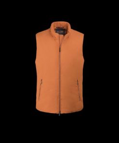 Hawkandhare.shop099943795f 2