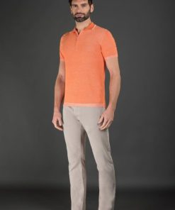 Hawkandhare.shop84fae4156b 1